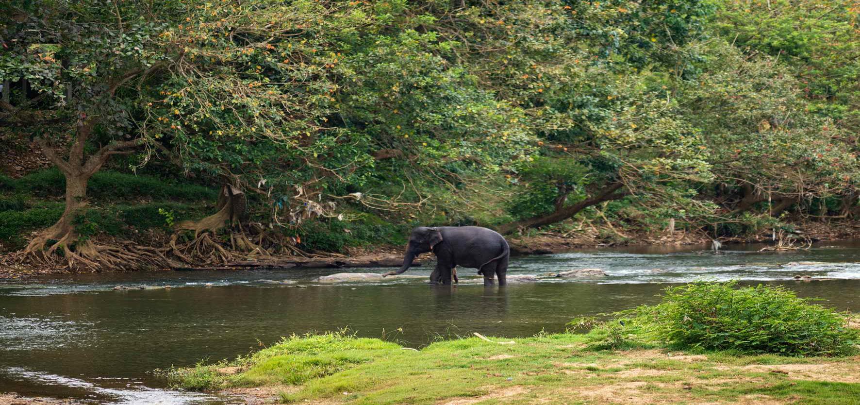 8 Days Sri Lanka Package