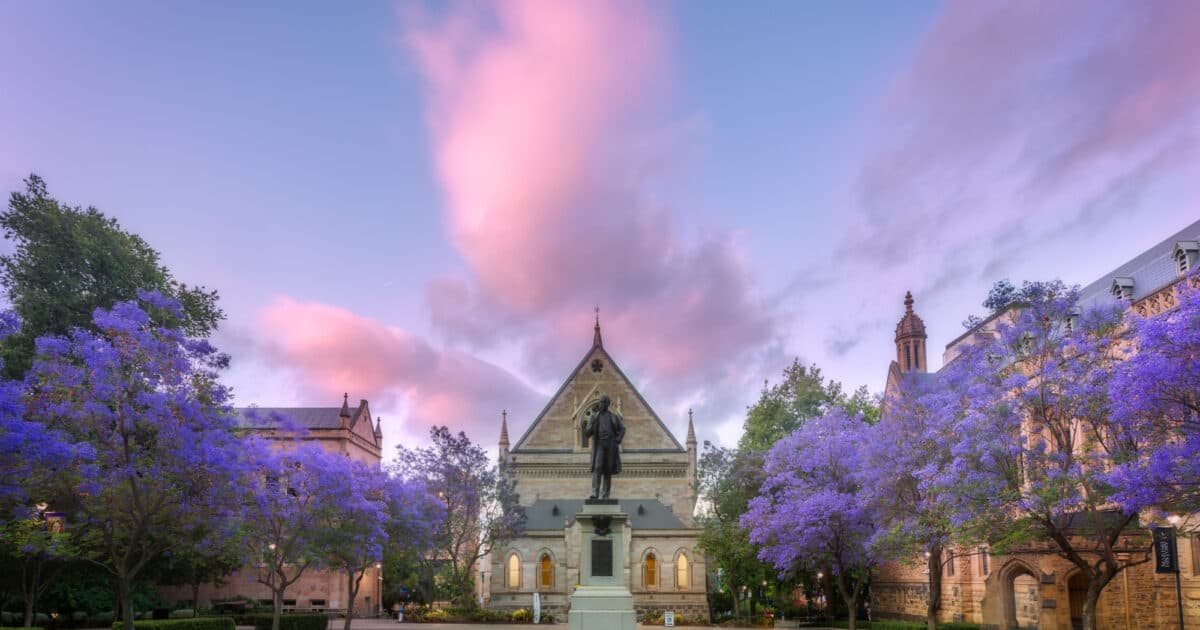 4 DAYS ADELAIDE HIGHLIGHT